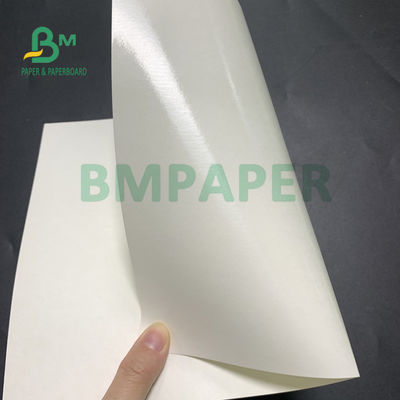 135gsm + 20gsm Polyethylene Coated Cup Base Paper Untuk Soup Bowl