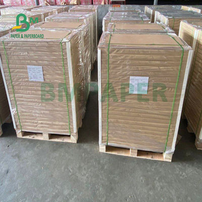 150gsm + 10gsm Food Safe PE Coated Cup Base Paper Untuk Minum