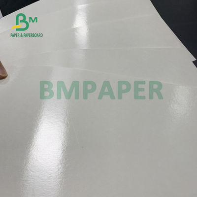150gsm + 10gsm Food Safe PE Coated Cup Base Paper Untuk Minum