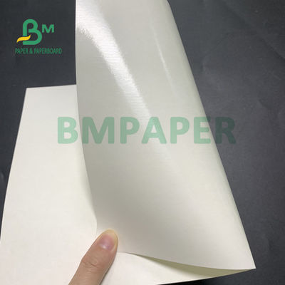 150gsm + 10gsm Food Safe PE Coated Cup Base Paper Untuk Minum