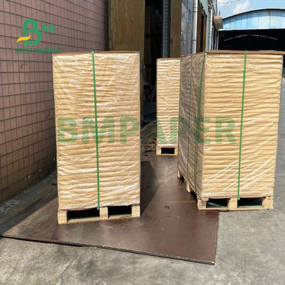 150gsm + 20gsm Ploy Coated Cup Stock Paper Tahan Lama 710mm X 900mm