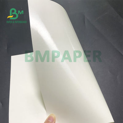 150gsm + 20gsm Ploy Coated Cup Stock Paper Tahan Lama 710mm X 900mm