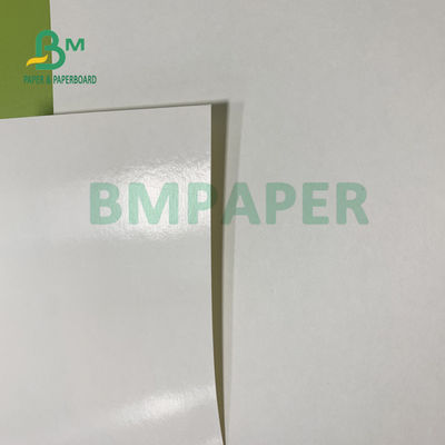 150gsm + 20gsm Ploy Coated Cup Stock Paper Tahan Lama 710mm X 900mm