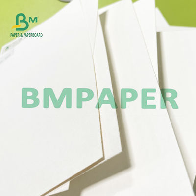 8,26 x 11,8 Inch Kertas Blotter Sangat Menyerap Untuk Menekan Bunga