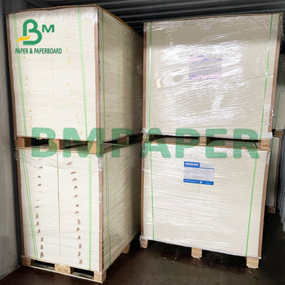 8,26 x 11,8 Inch Kertas Blotter Sangat Menyerap Untuk Menekan Bunga
