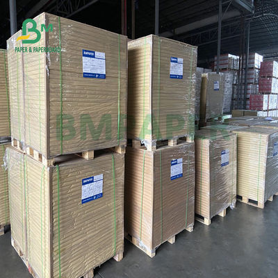 180gsm + 18gsm Satu Sisi Lembar Kertas Dilapisi PE Cup Tahan Air