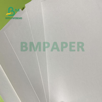 180gsm + 18gsm Satu Sisi Lembar Kertas Dilapisi PE Cup Tahan Air