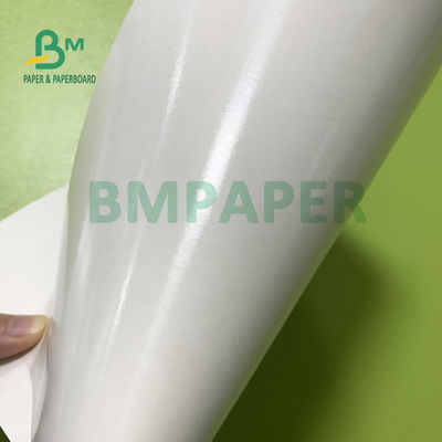 210gsm + 15gsm Cup PE Film Dilapisi Kertas Kecerahan Baik 615mm X 850mm