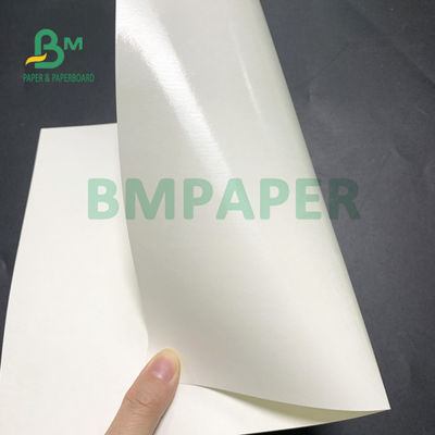 210gsm + 20gsm Double Side PE Coated Cup Paper Kekuatan Tarik Tinggi