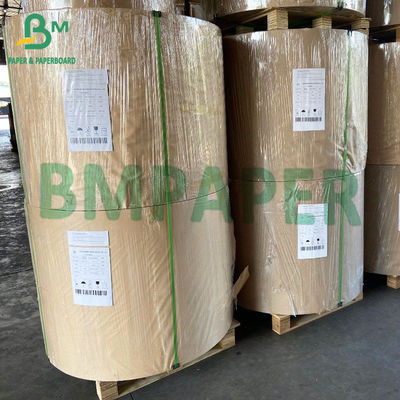300gsm Kertas Karton Putih Poli Dilapisi Kompos Untuk Mangkuk Sup