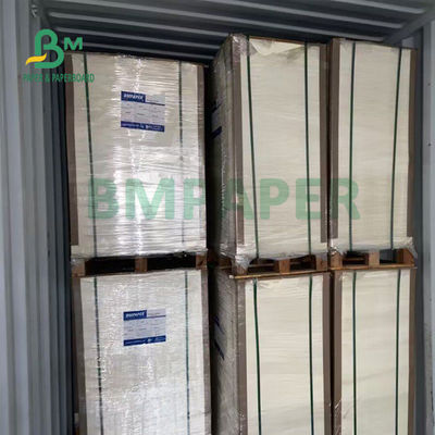 230gsm + 15gsm Daya Tahan PE Coated Cup Stock Paper Untuk Mangkuk Sup 560mm X 700mm