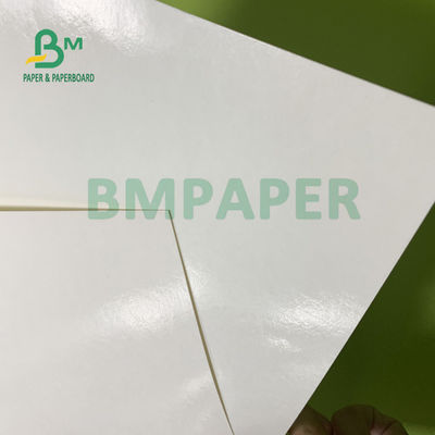 230gsm + 15gsm Daya Tahan PE Coated Cup Stock Paper Untuk Mangkuk Sup 560mm X 700mm