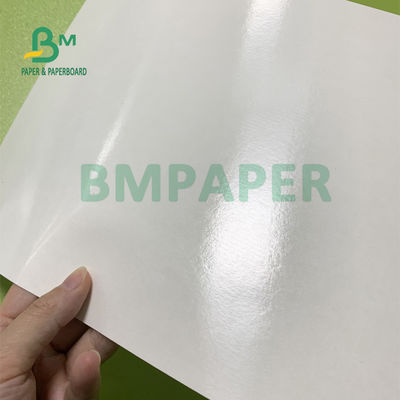 230gsm + 15gsm Daya Tahan PE Coated Cup Stock Paper Untuk Mangkuk Sup 560mm X 700mm