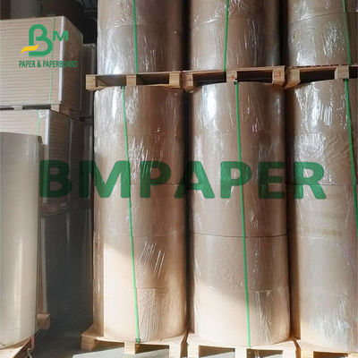 300gsm 320gsm PE Coated Cup Bahan Baku Gulungan Kertas Untuk Teh Panas