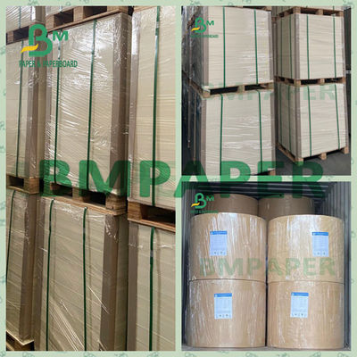 190g 210g PE Coated Cup Paper Untuk Pembuatan Cangkir Minuman Jus OEM
