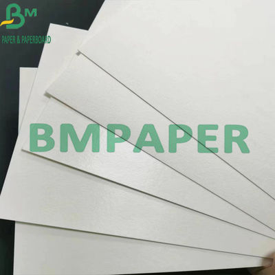 460g + 15g PE Dilapisi Papan Coaster Sangat Blotting Penyerap Tikar Bir Gulungan