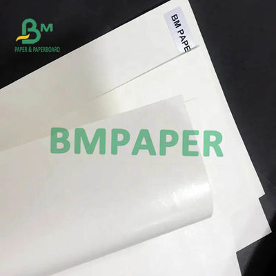 White Cup Stock Paper Roll 200gsm + 15PE Satu Sisi Dilapisi Untuk Paper Cup