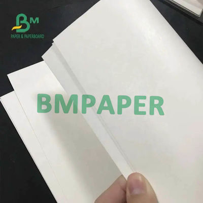 White Cup Stock Paper Roll 200gsm + 15PE Satu Sisi Dilapisi Untuk Paper Cup