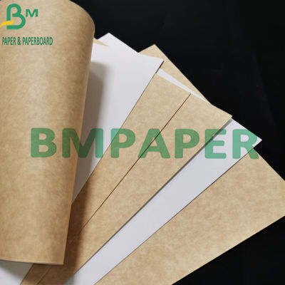 300gsm Kualitas makanan Coated White Kraft Paper Dengan Brown Back Untuk Wadah Makanan