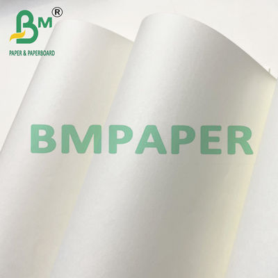 80 100 120 GSM Roll Sheet Kertas Offset Woodfree Beige Untuk Pencetakan Buku