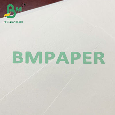 80 100 120 GSM Roll Sheet Kertas Offset Woodfree Beige Untuk Pencetakan Buku