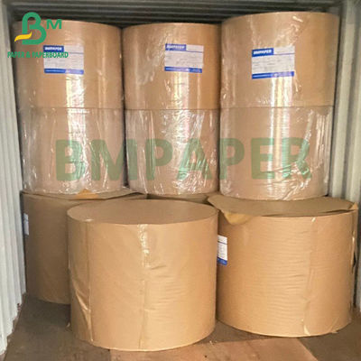 Karton Putih Kertas Papan Gading 250gsm C1S FBB Cover Stock Board