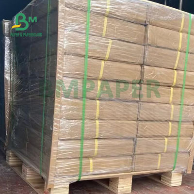 60gsm 83gsm Gulungan Kertas Kalkir Tembus Untuk Gambar Anak 20'' 24'' X 50m