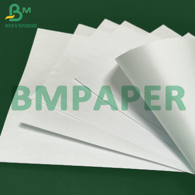 50gsm 53gsm 60grs White Offset Woodfree Uncoated Paper Untuk Pencetakan Kepala Surat