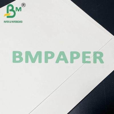 190gsm 200gsm 210gsm Kertas Cupstock Aman Makanan Untuk Makanan Panas