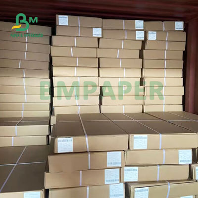 Gulungan Kertas Rekayasa Cetak Biru Dua Sisi Untuk Format Lebar 24&quot; x 50 yard