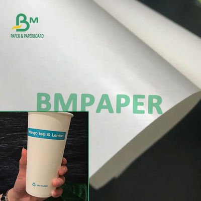 Food Grade 210 / 230g + 15g Gulungan Papan Kertas Stok Piala Putih Dilapisi Poli Untuk Kertas Mangkuk Kertas Piala