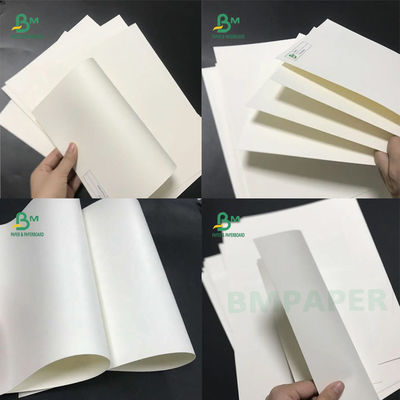 Food Grade 210 / 230g + 15g Gulungan Papan Kertas Stok Piala Putih Dilapisi Poli Untuk Kertas Mangkuk Kertas Piala