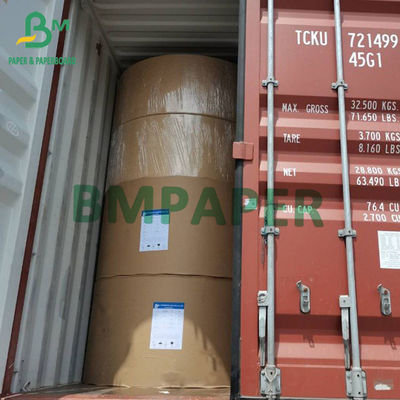 Food Grade 210 / 230g + 15g Gulungan Papan Kertas Stok Piala Putih Dilapisi Poli Untuk Kertas Mangkuk Kertas Piala