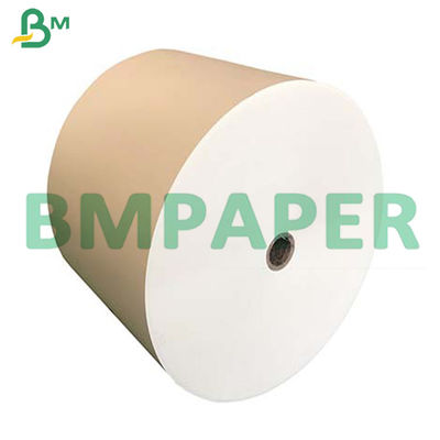 210g + 15g PE Dilapisi Papan Kertas Stok Mangkuk Mie Food Grade Dalam Gulungan Jumbo