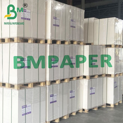 210g 230g PE Coated Cup Stock Base Paper Food Grade Untuk Mangkuk Mie