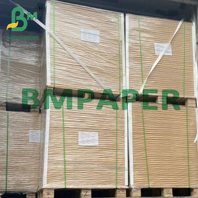 160 - 400 GSM Kertas Kerajinan Dilapisi Food Grade PE Untuk Kotak Makanan Ringan