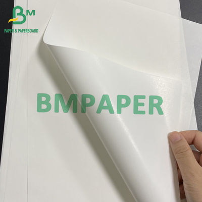 65gsm Kertas Putih Untuk Label Bir Atau Botol 49 X 68cm 40 X 68 Cm Lembar Kertas Kekuatan Basah Tinggi