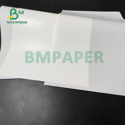 65g 70g High Wet Strength Paper Untuk Label Botol Bir Freeze Safe 70 X 100cm