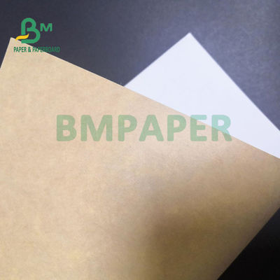 300gm Brown White CKB Board Untuk Paket Makanan Beku Ketahanan yang baik 74 x 106cm