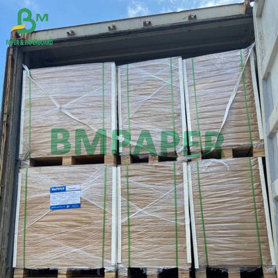 200g - 400g Food Grade FBB Board Karton Selulosa Putih Untuk Wadah Makanan Kertas C1S 25" x 37" 30" x 22,5"