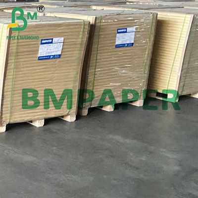 15" x 1000" Putih Polyboard 1 Sisi PE Lapisan Kertas Untuk Makanan Beku 275g