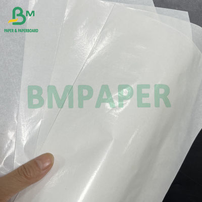50 gsm + 10 gsm Single-sided Glossy PE Coated White Kraft Food Paper