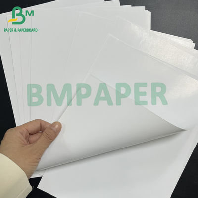 54&quot; * 300ft 80gsm Tinta yang baik menyerap Glossy Coated C2S Text Paper