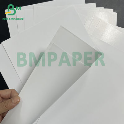54&quot; * 300ft 80gsm Tinta yang baik menyerap Glossy Coated C2S Text Paper