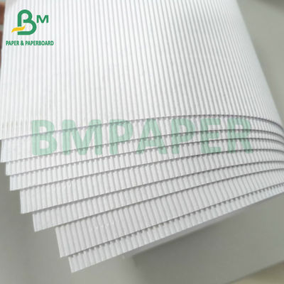 Putih Single Face Corrugated Cardboard Roll B Flute E Flute Untuk Pengiriman