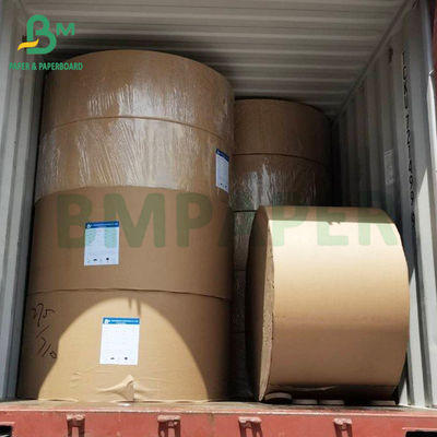 Pengemasan minuman besar-besaran Kertas 275gm Satu sisi dilapisi