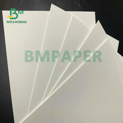 C1S Food Grade FBB Board 270g 325g 350g Untuk Membuat Kotak Hamburger