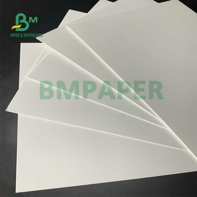 C1S Food Grade FBB Board 270g 325g 350g Untuk Membuat Kotak Hamburger