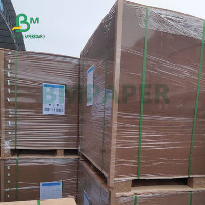 300gm + 15g PE Coated Kraft Paper Untuk Tray Makanan Ketahanan yang baik 700 x 1000mm