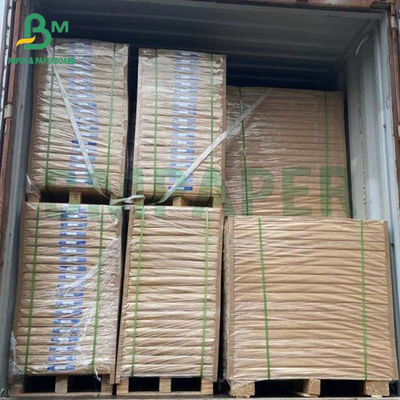 55gsm Carbon Duplicate Copy Paper Untuk Sketching Blank NCR Paper
